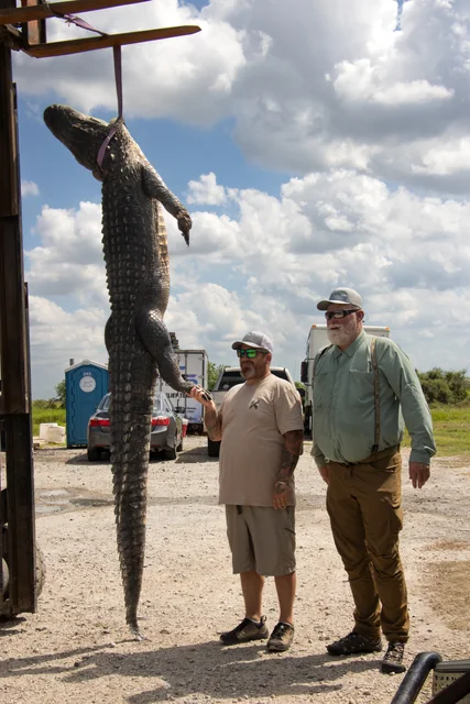 Two customers standing beside a harvested alligator outside the shop