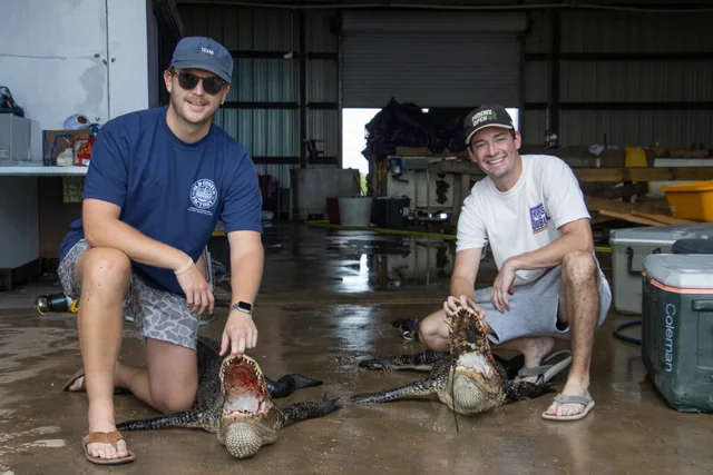 Two customers kneeling beside their alligators inside the shop